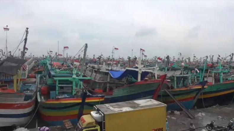 Ratusan Kapal Eks Cantrang Menumpuk di Pelabuhan Pantai Tegalsari Tegal, Kenapa? 
