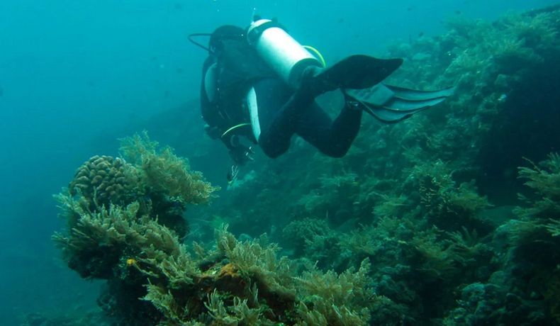 Sisa Peninggalan Perang Dunia II di Indonesia, dari Bangkai Tank sampai Kapal Perang AS