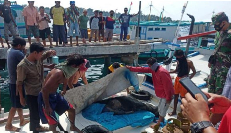 Geger Penemuan Mayat Laki-Laki Mengapung di Perairan Kepulauan Pongok