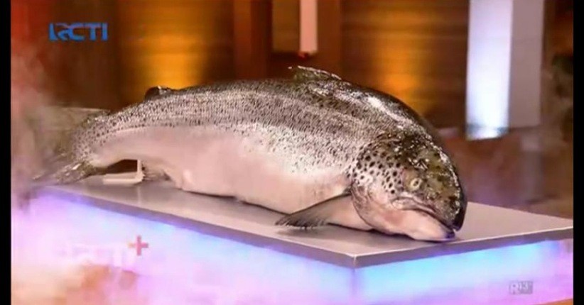 Terlalu Semangat Potong Salmon di MasterChef Indonesia, Peserta Ini Tangannya Teriris