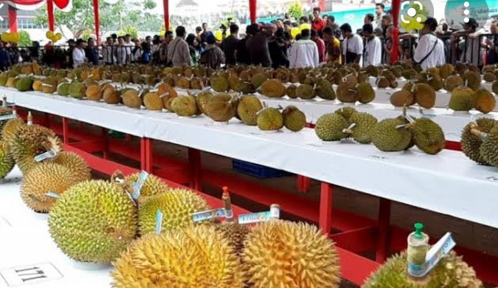 Tempat Durian Paling Enak di Jakarta, Salah Satunya di Depan Makam Pahlawan