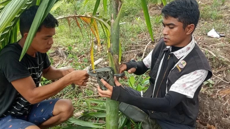 Ada Jejak Harimau di Maua Hilia, Petugas BKSDA Agam Pasang Kamera Jebak