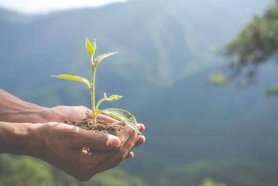 Tata Cara Wakaf, Syarat, Rukun, Jenis, Hukum & Hikmah