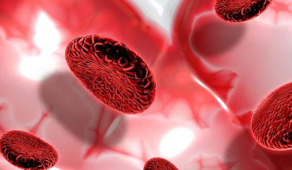 8 Fungsi Darah bagi Tubuh yang Wajib Diketahui dan Fakta Menariknya
