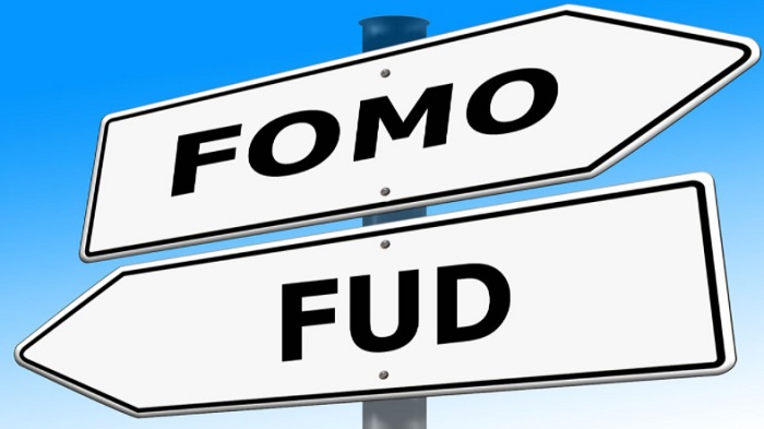 Apa itu FUD dan FOMO pada Dunia Investasi Kripto?