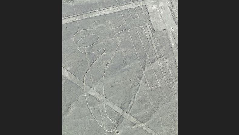 Pesawat Ringan Jatuh dan Terbakar, 5 Wisatawan Luar Negeri Tewas