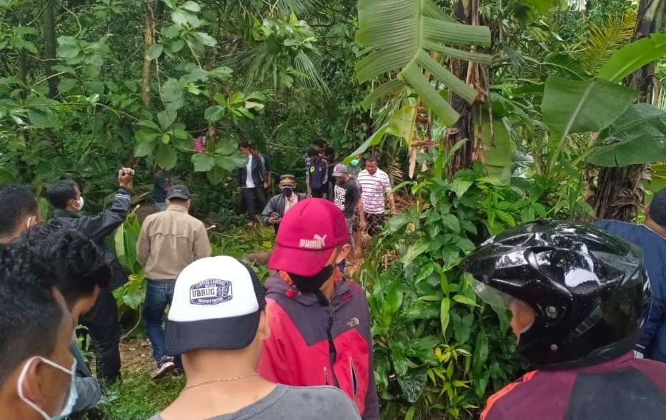 Pria di Bogor Tewas Tertimpa Pohon saat Menebang