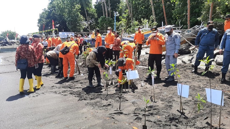 Basarnas Manado Tanam 200 Pohon Mangrove di Pinggiran Pantai Likupang