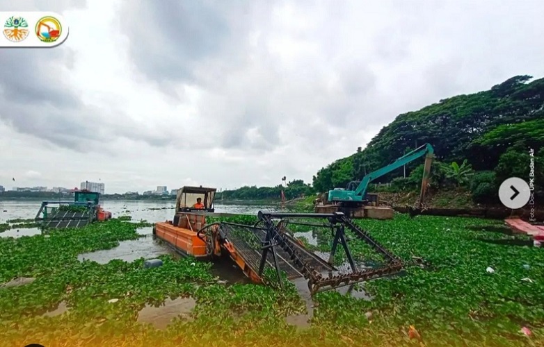Pemprov DKI Bersihkan Waduk Pluit, Banyak Tanaman Eceng Gondok
