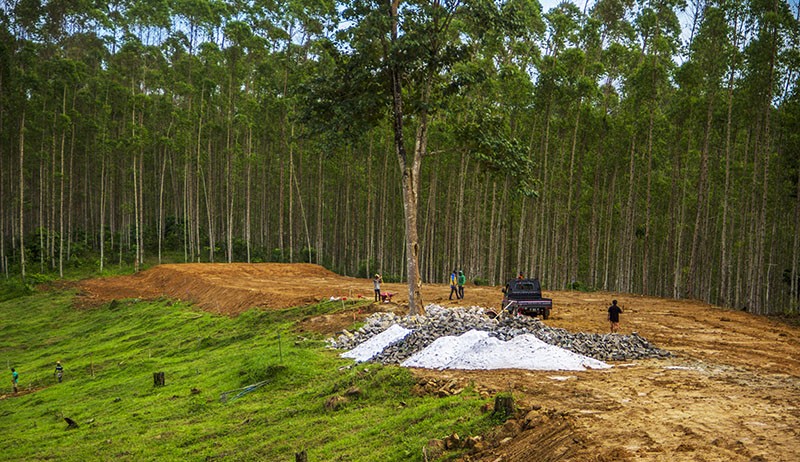 IKN Bakal Jadi Kota di dalam Hutan, KSP: Komitmen Indonesia Atasi Pemanasan Global