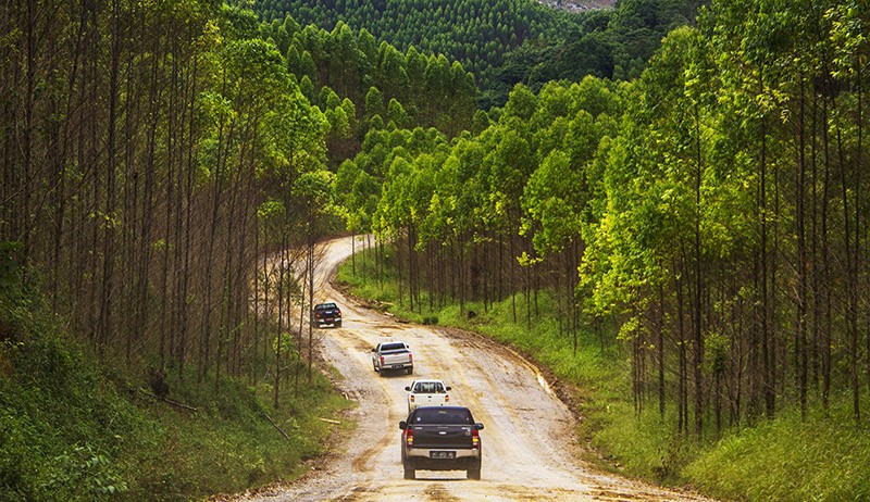 Simak, Daftar BUMN yang Berinvestasi di IKN Nusantara dan Proyek yang Digarap