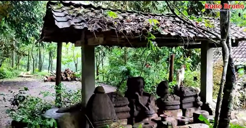 Heboh Ditemukan Arca Kuno Majapahit di Tengah Hutan, Kerap Didatangi Ayam Jago Putih
