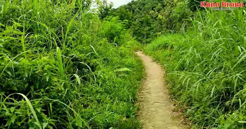 Aneh, Jalan Setapak Ini Bisa Keluarkan Bunyi saat Diinjak, Berani Lewat?