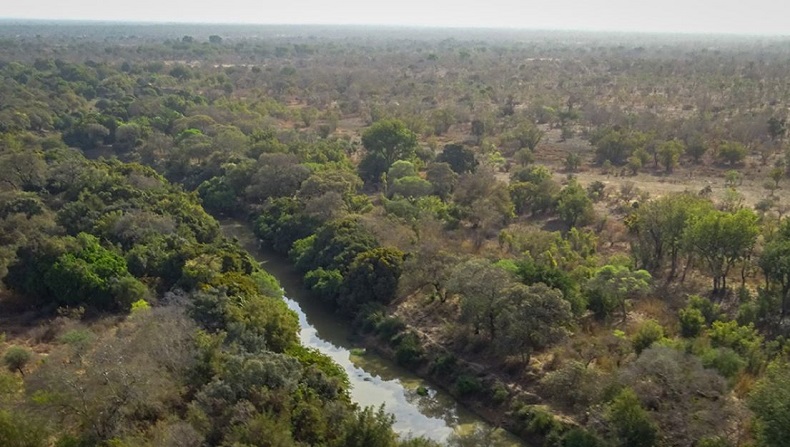 5 Penjaga Hutan dan 1 Tentara Tewas Diserangan Gerilyawan saat Patroli 
