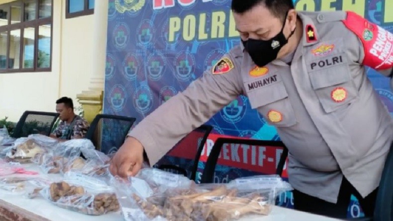 Penjual Tulang Harimau Sumatera dan Sisik Tringgiling Bernilai Ratusan Juta Rupiah Ditangkap
