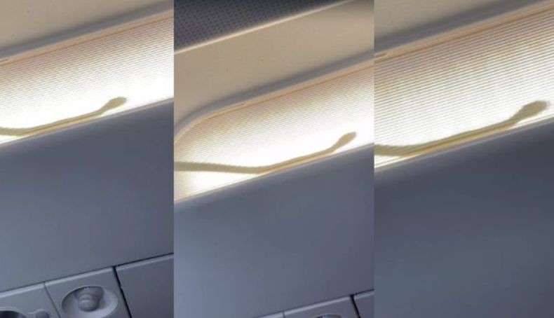 Menegangkan, Ular Merayap di Kabin Penumpang Pesawat AirAsia