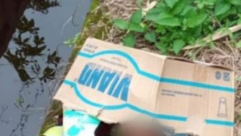 Bayi Ditemukan di Dalam Kardus Dekat Parit dengan Kondisi Memprihatinkan, Dikerubuti Semut
