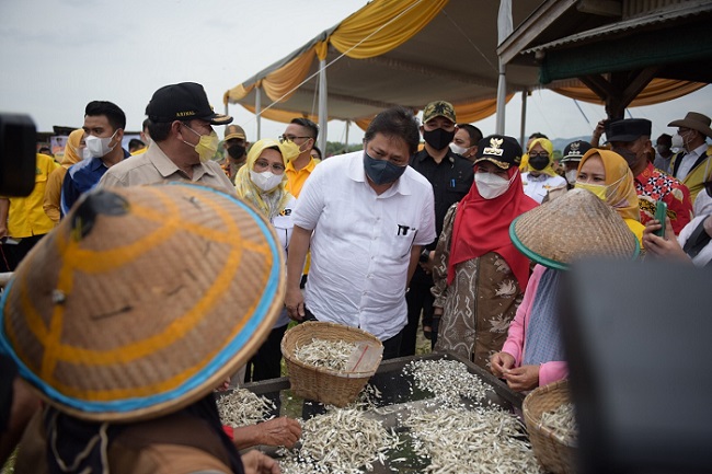  Menko Airlangga Dorong Ikan Asin Pulau Pasaran Lampung Tembus Pasar Ekspor 