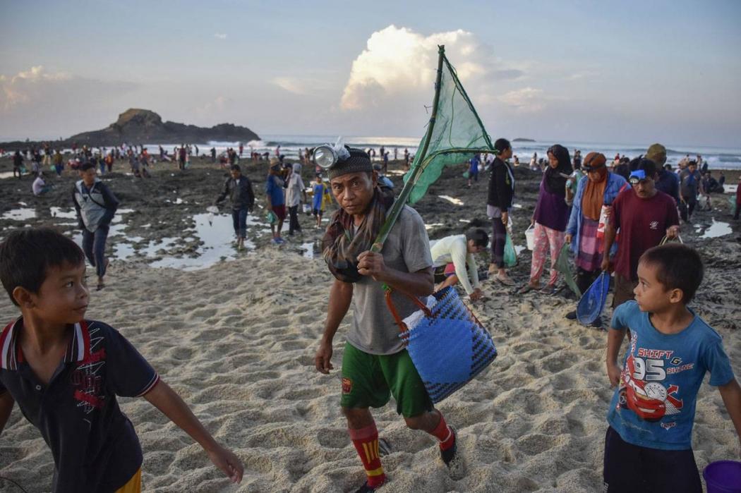 Tradisi Bau Nyale Suku Sasak di Lombok Tengah, Dipercaya Jelmaan Putri Mandalika