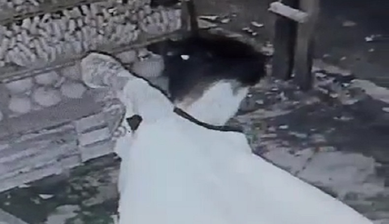Majalengka Heboh, Pemuda Gasak Uang Pedagang Buah Sambil Tunjukkan Tato Terekam CCTV