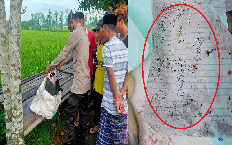 Lobar Gempar, Jasad Bayi Ditemukan di Pinggir Jalan, Ada Tulisan Minta Tolong Dikubur