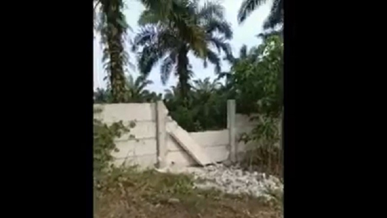 Robohkan Tembok Pembatas, Gajah Liar Masuk Jalan Tol Pekanbaru Terekam CCTV
