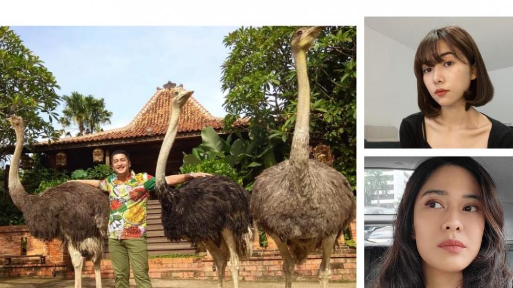 Deretan Artis Indonesia yang memiliki Hobi Paling Aneh, Nomor 3 Punya 200 Jenis Hewan di Rumah