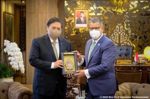 Menko Airlangga: Presidensi G20 Indonesia Dorong Pemulihan Ekonomi Global Berkelanjutan