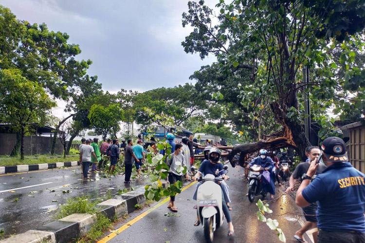 Cuaca Ekstrem Ancam Bantul, BPBD: Waspadai Banjir dan Angin Kencang