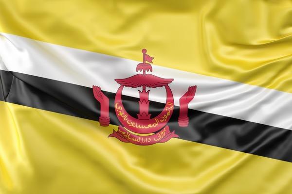 Sumber Daya Alam Unggulan Brunei Darussalam Adalah Apa? Ini Jawabannya