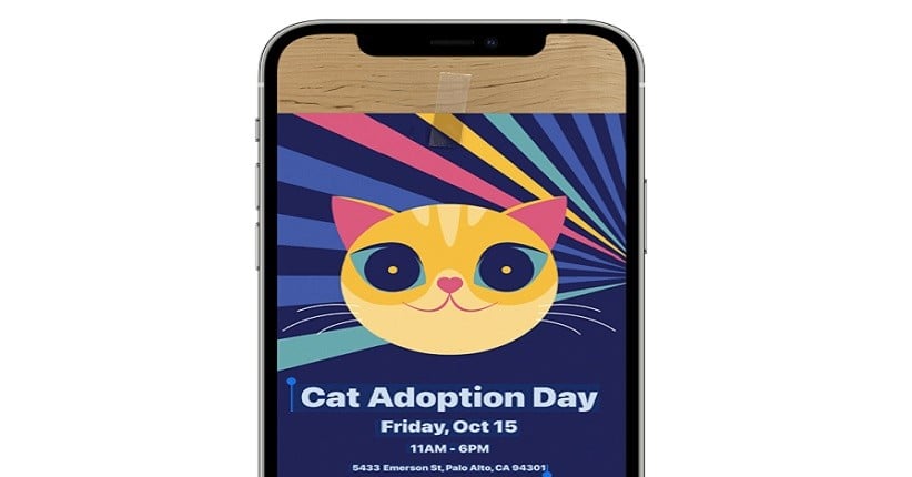Cara Menggunakan Live Text di iOS 15, Salin Teks dari Foto Makin Gampang