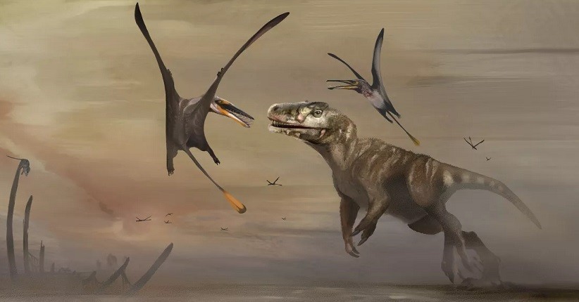 Fosil Reptil Terbang Terbesar Ditemukan, Bantu Berikan Wawasan Baru Sejarah Hewan