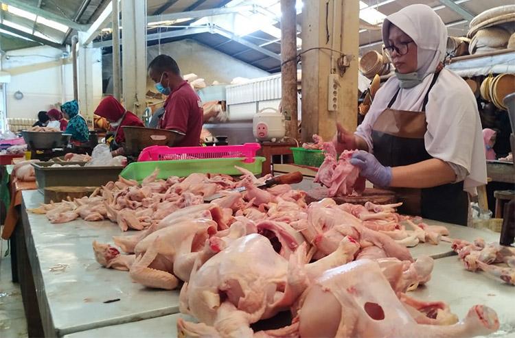 Harga Daging Ayam di Kulonprogo Merangkak Naik, Konsumen Pasrah 