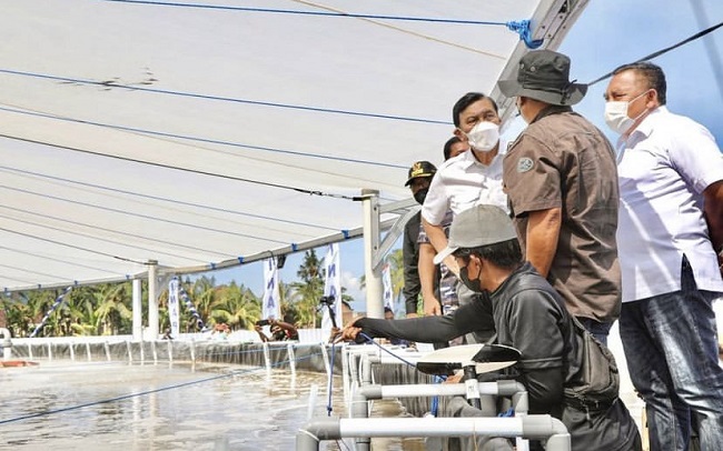  Menko Luhut: Indonesia Mampu Jadi Top Five Negara Eksportir Produk Perikanan Global