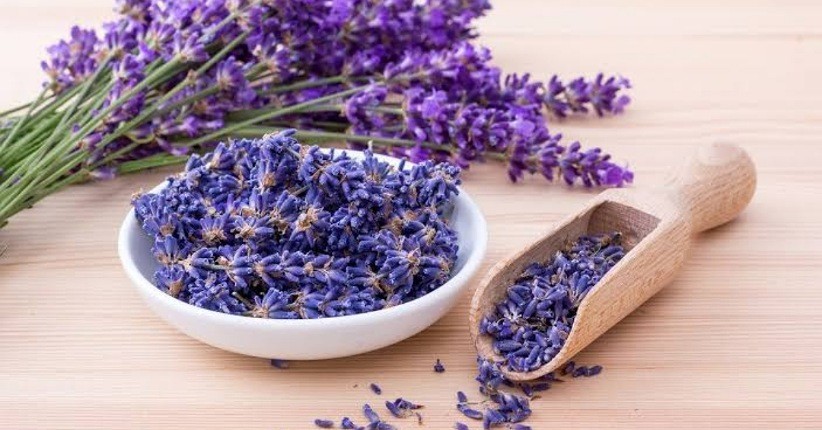 Ketahui Nutrisi Alami untuk Bantu Ibu Hamil dan Menyusui Tetap Glowing