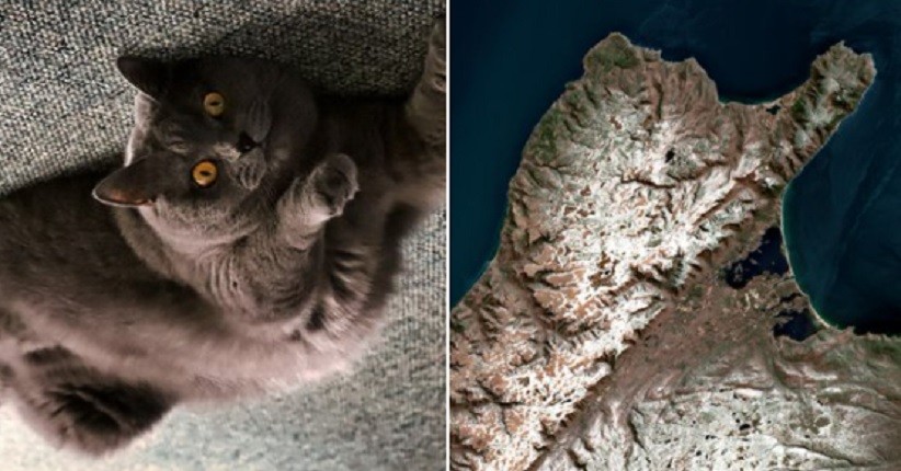 Badan Antariksa Bagikan View Satelit Bumi, Wilayah Ini Terlihat Mirip Kucing Berbaring