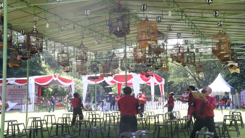 Meriah, Ratusan Peserta Ikuti Lomba Burung Berkicau di Solo