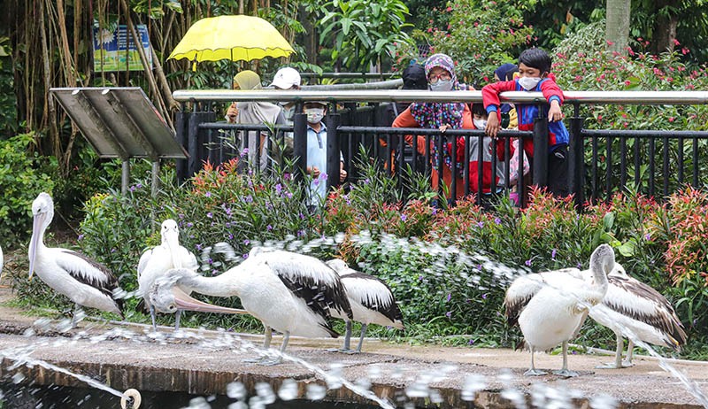 Dibuka Hari Ini, Taman Margasatwa Ragunan Langsung Diserbu 7.587 Pengunjung