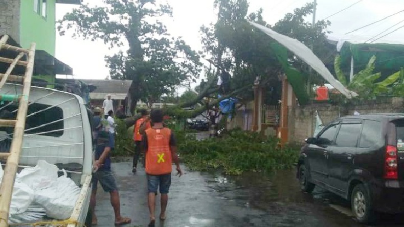 Diterpa Angin Kencang, Pohon Tumbang Timpa Gapura Ponpes Al Hikam Cianjur 