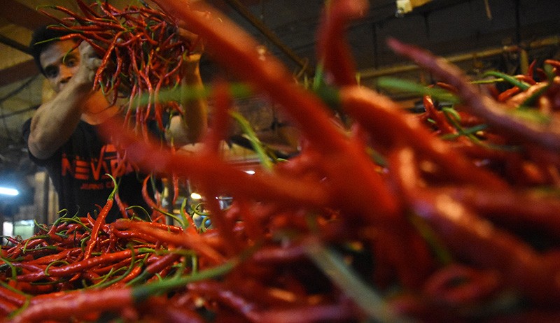 Harga Cabai di Agam Makin Pedas, Naik Jadi Rp120.000 per Kg