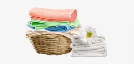 8 Usaha yang Menghasilkan Uang Setiap Hari, Tak Perlu Modal Besar!