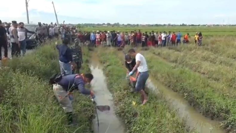 Tegal Gempar, Jenazah Perempuan Muda Pakai Tanktop Ditemukan di Sawah 