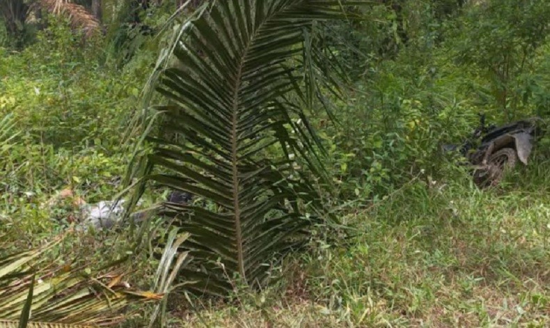 Geger Penemuan Mayat di Kebun Sawit, Korban Diduga Tewas Dianiaya 