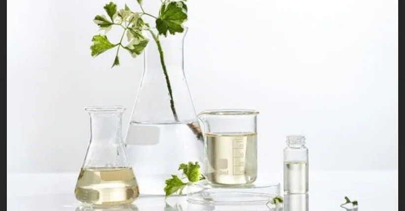 Mengenal Bakuchiol, Ekstrak Tanaman yang Dijadikan Bahan Alami Perawatan Kulit