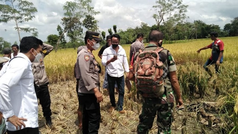 Lombok Tengah Gempar, Tengkorak Manusia Tak Utuh Ditemukan Warga di Persawahan