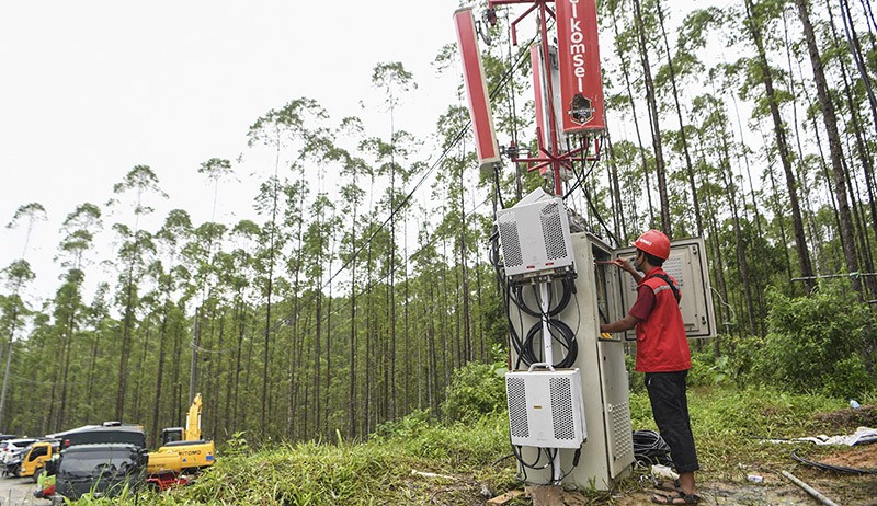 Istana Ingin IKN Dibangun di Tanah yang Tidak Mengandung Masalah