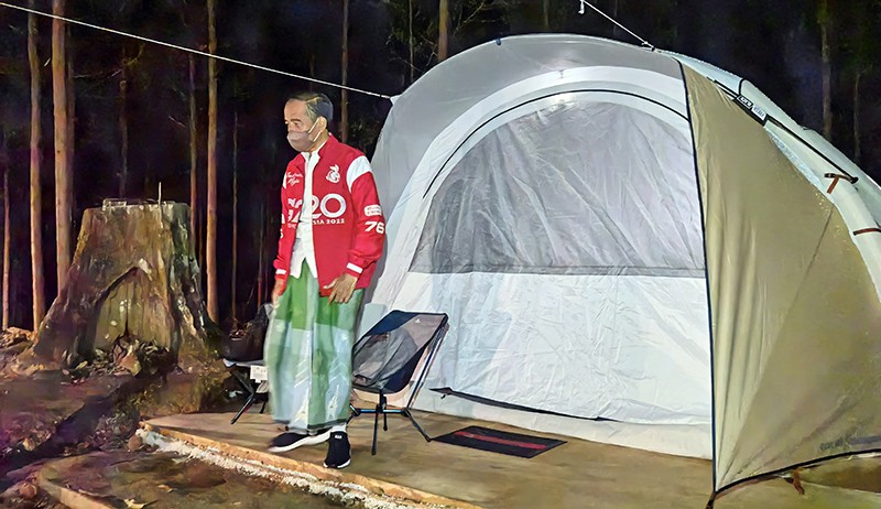 Jokowi Akan Isi IKN dengan Tanaman yang Mampu Menarik Kupu-Kupu hingga Burung