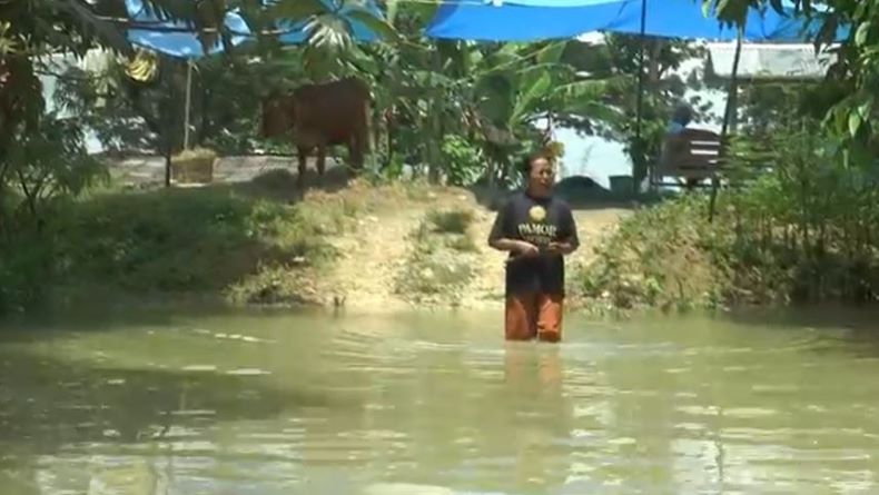 Banjir Luapan Sungai Serang Meluas, Warga di Grobogan Tidur di Atas Tanggul 