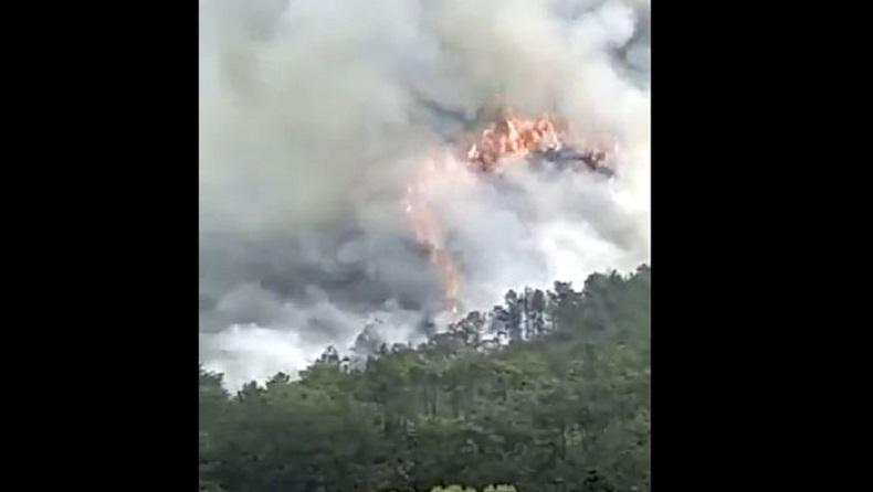 Pesawat China Eastern Jatuh, Xi Jinping Instruksikan Upaya Habis-habisan Cari Korban