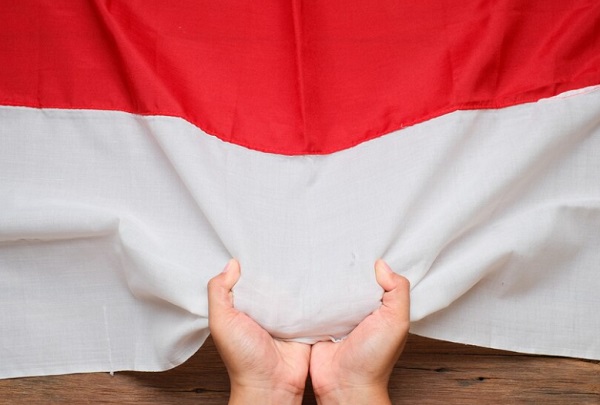 23 Contoh Tanggung Jawab Terhadap Bangsa dan Negara